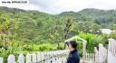 Đất Hoàng Hoa Thám Đà Lạt View Rừng Thông 2843m2