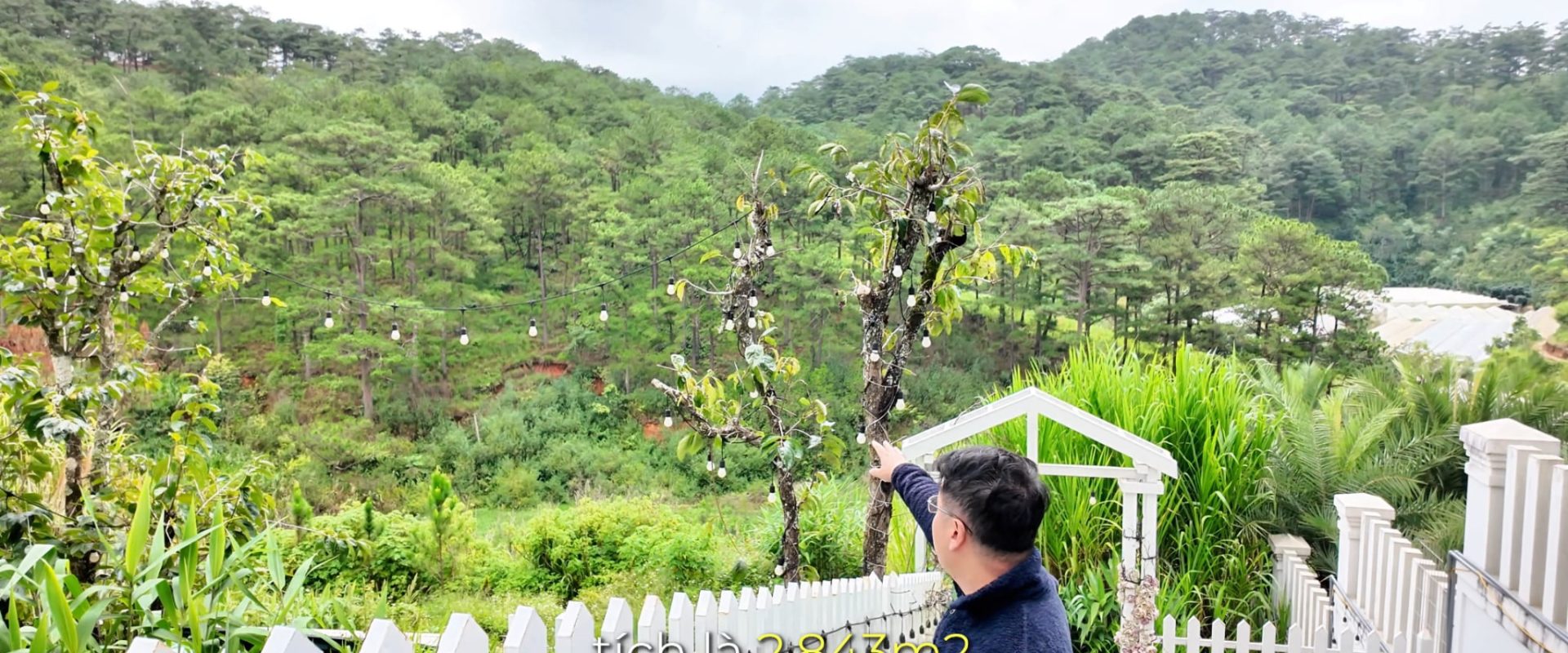 Đất Hoàng Hoa Thám Đà Lạt View Rừng Thông 2843m2