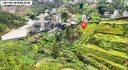 Đất Hoàng Hoa Thám Đà Lạt View Rừng Thông 2843m2
