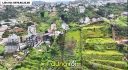 Đất Hoàng Hoa Thám Đà Lạt View Rừng Thông 2843m2