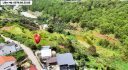 Đất Hoàng Hoa Thám Đà Lạt View Rừng Thông 2843m2