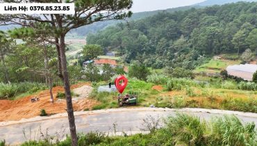 Đất An Sơn Đà Lạt View Rừng Thông 365m2