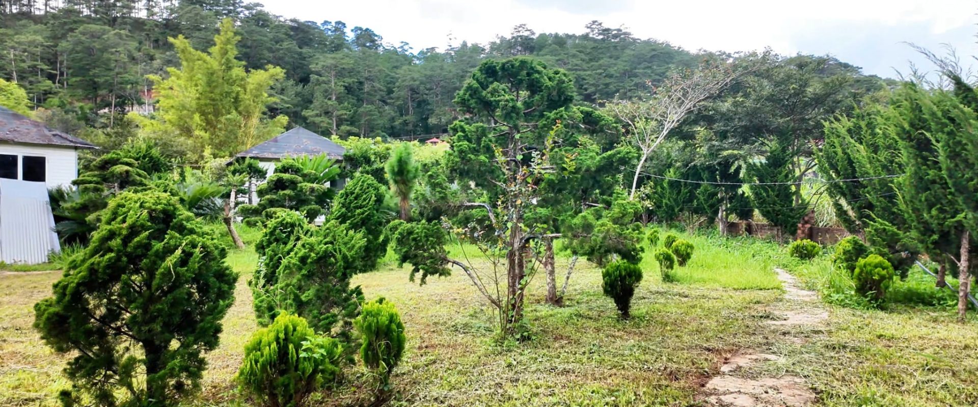 Bán Đất Du Lịch Đà Lạt 1,6ha Chân Đèo Mimosa Giá 40 Tỷ