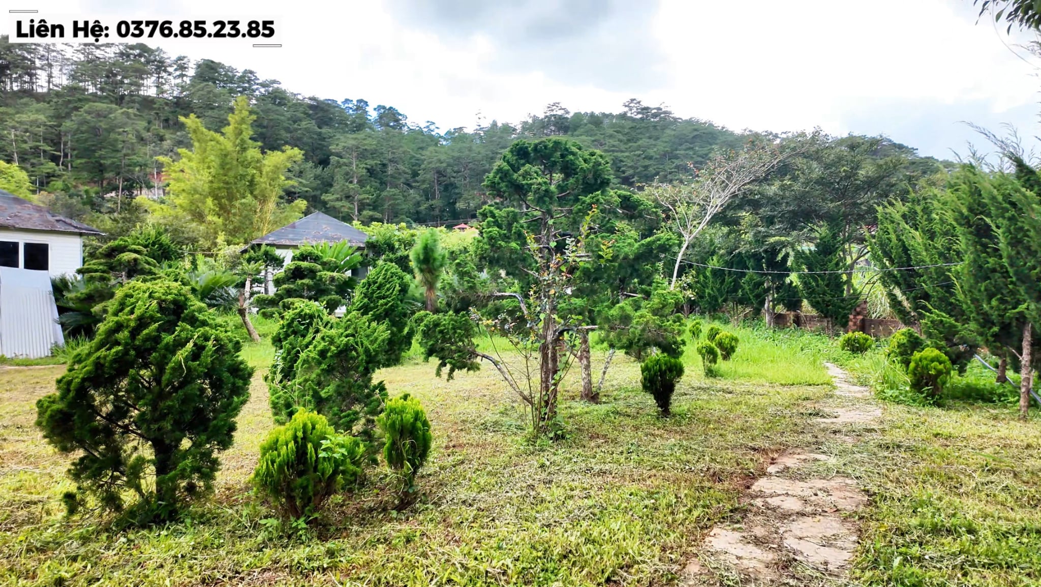 Khu đất du lịch khoảng 1,6ha tại chân đèo Mimosa Đà Lạt