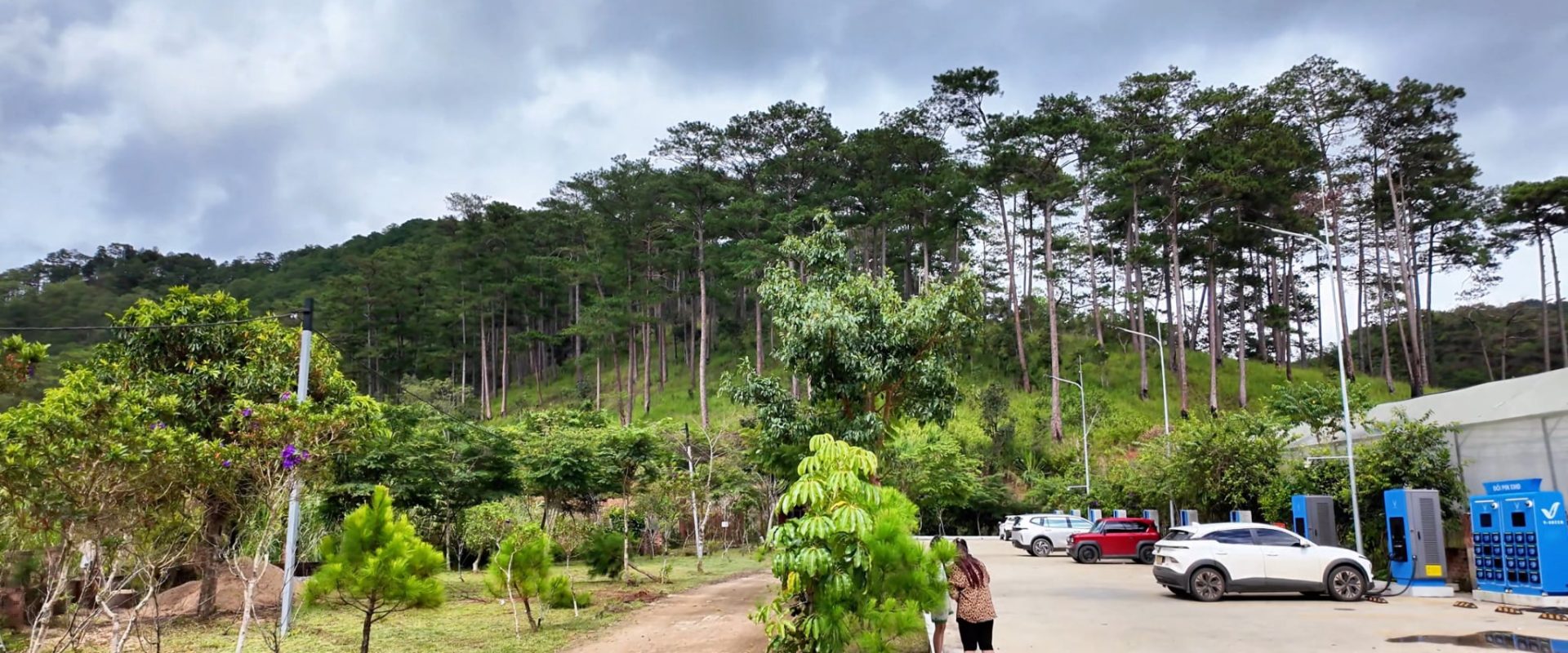 Bán Đất Du Lịch Đà Lạt 1,6ha Chân Đèo Mimosa Giá 40 Tỷ