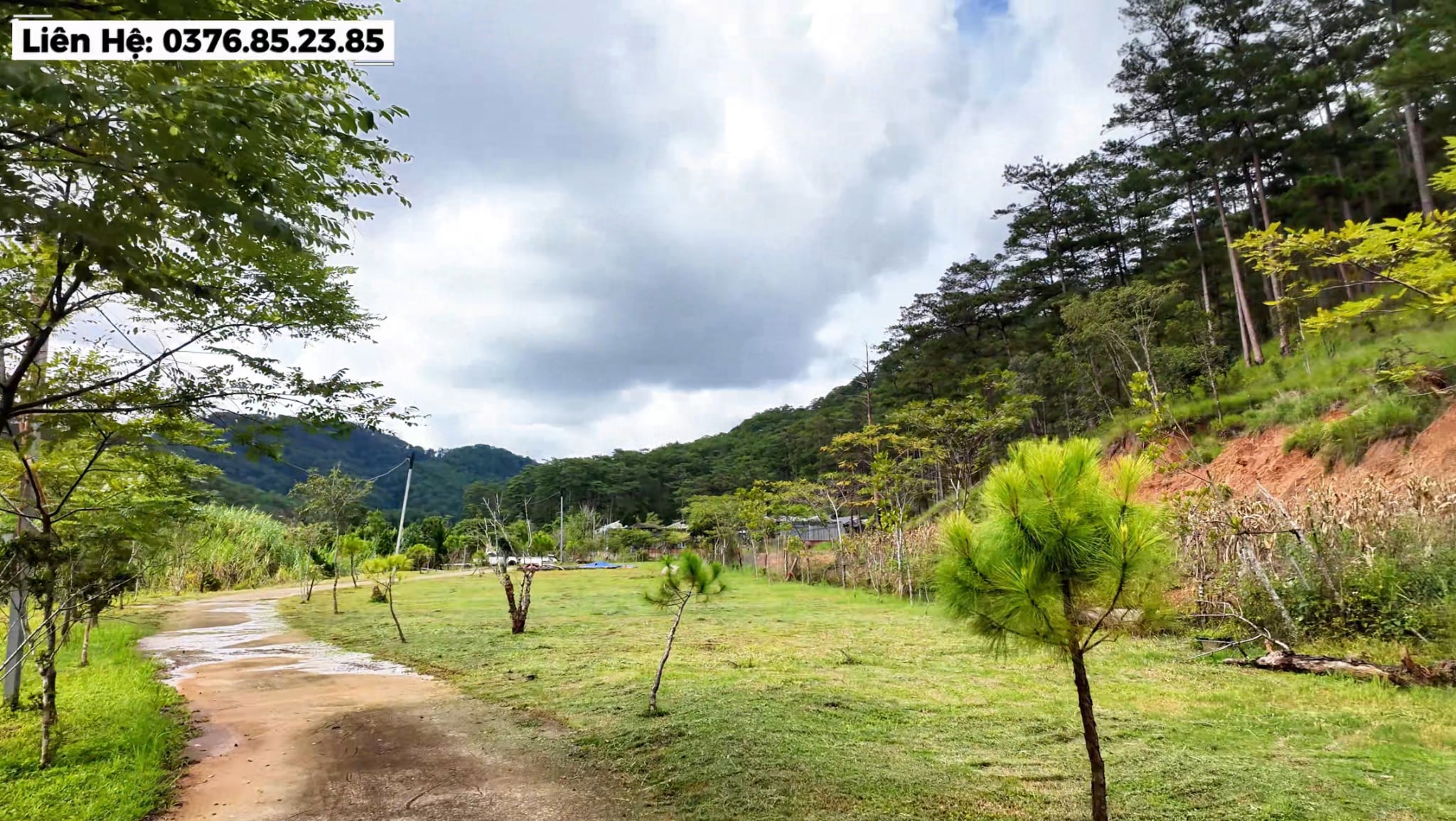Khu đất du lịch khoảng 1,6ha tại chân đèo Mimosa Đà Lạt