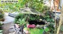 Bán Villa Homestay Đà Lạt 1.050m², 15 Phòng – 55 Tỷ