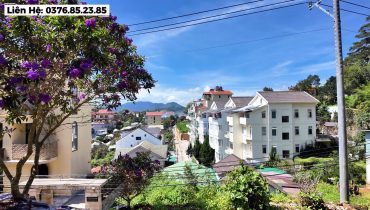 Đất biệt thự Thế Dương Khe Sanh Đà Lạt 326m² – Giá 15 tỷ